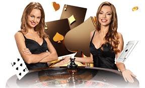 Cricket football tennis and casino-style topics arranged for pk 33